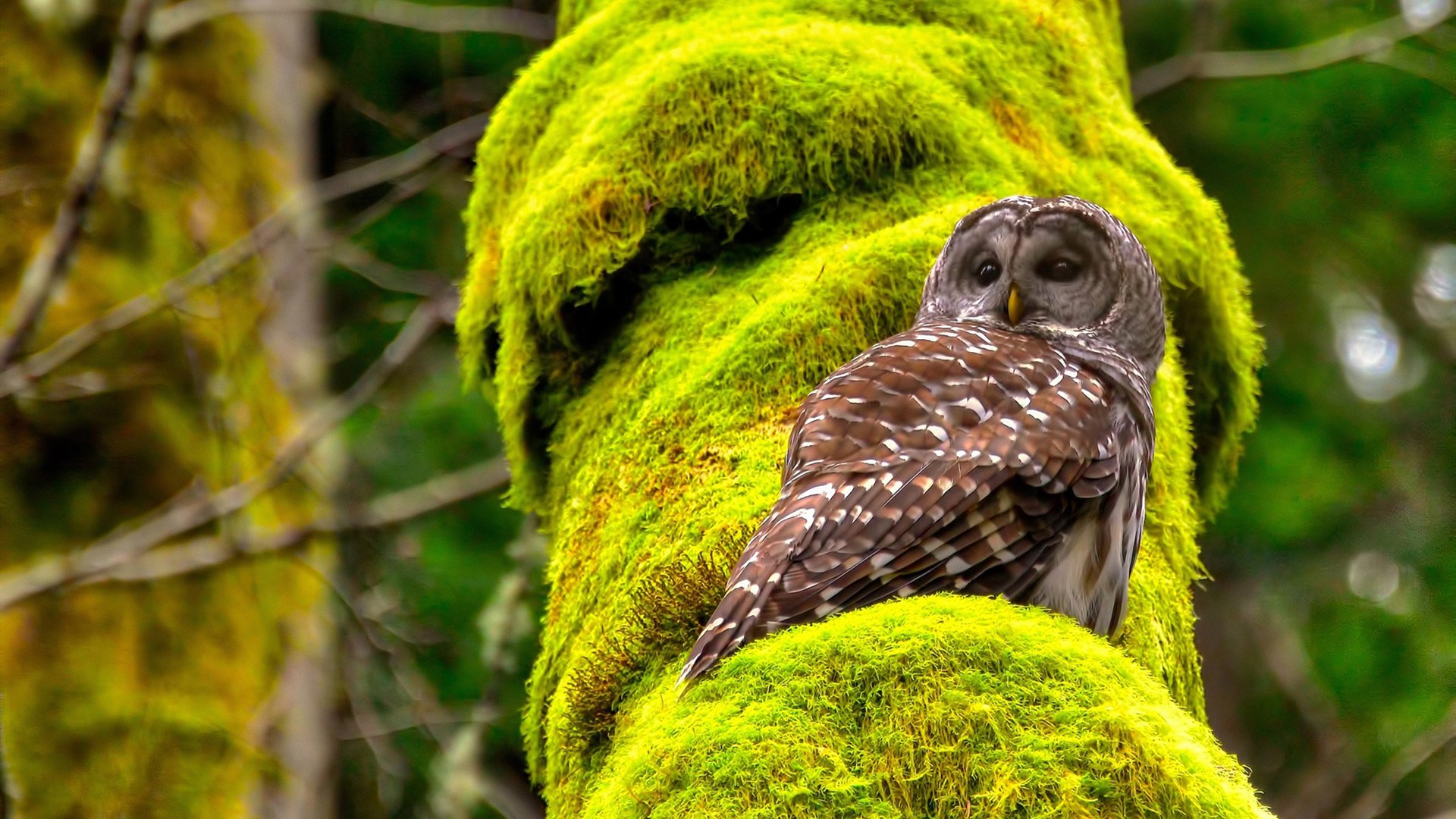 JIUYOU GAMING-“青春追梦”青少年篮球夏令营在哈尔滨火热开班,打造未来运动人才